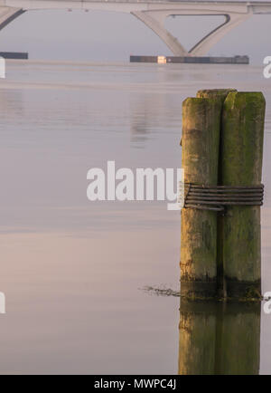 Passeggiando per Alexandria, Virginia, al di fuori di Washington DC e il fiume Potomac. La nautica paradise, New Scenic 5 posti e la vita attiva sull'acqua. La pace. Foto Stock