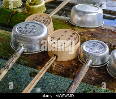 Wakayama, Giappone - 24 Nov 2016. Tsukubai al tempio buddista. In Giappone un tsukubai è un lavabo fornito all'ingresso ai luoghi santi per i visitatori Foto Stock