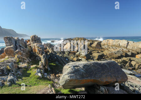 Formazioni di roccia sporgente nell'oceano indiano a Tsitsikamma, area protetta, Garden Route, Cape, Sud Africa Foto Stock