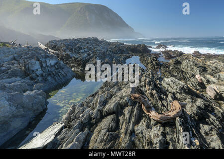 Formazioni di roccia sporgente nell'oceano indiano a Tsitsikamma, area protetta, Garden Route, Cape, Sud Africa Foto Stock