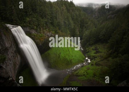 Salt Creek Falls, Oregon Foto Stock