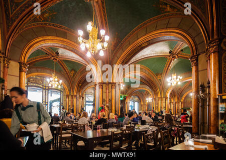 Caru cu Bere birra la Hall e il ristorante, Bucarest, Romania, Europa Foto Stock