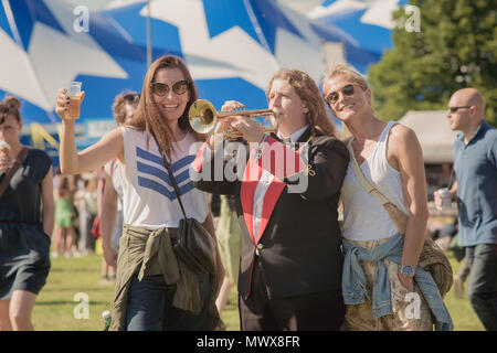 Brixton, Londra, Regno Unito. 2 Giugno, 2018. Field Day Festival in Brockwell Park, Londra del sud. Credito: Jamie grigio/Alamy Live News Foto Stock