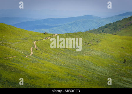 Il sentiero su un Wetlina alto alpeggio in Western monti Bieszczady in Polonia Foto Stock