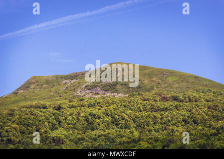 Picco Tarnica visto dal villaggio Wolosate in Western monti Bieszczady in Polonia, la montagna più alta nella parte polacca di Bieszczady Foto Stock
