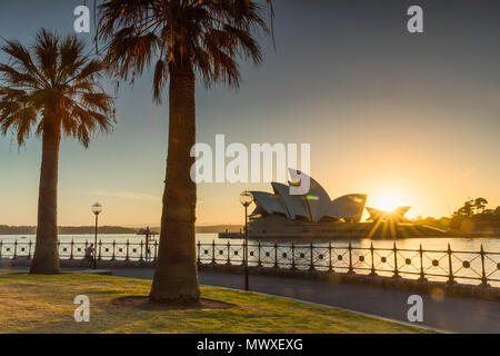 Sydney Opera House di sunrise, Sydney, Nuovo Galles del Sud, Australia Pacific Foto Stock