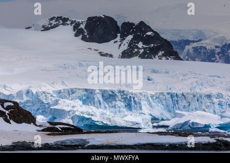 Colonie di pinguino, iceberg e ghiacciai, de Cuverville Island, Errera Channel, Danco Costa, Penisola Antartica, Antartide, regioni polari Foto Stock