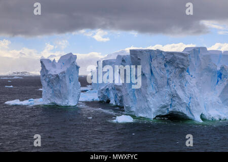 Grandi blu iceberg tabulare e sulla costa del canale Errera, Danco Costa, Penisola Antartica, Antartide, regioni polari Foto Stock