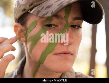 air force basse mimetiche