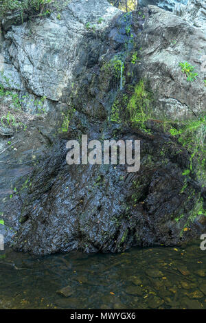 Una piccola cascata sulla bocca trail nel Tsitsikamma, area protetta, Garden Route, Cape, Sud Africa, Foto Stock