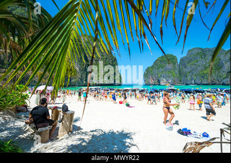 MAYA BAY, Tailandia - 12 novembre 2014: folle di visitatori in un giorno di viaggio viaggio in barca per un'iconica spiaggia del sud della Thailandia che ha appena chiuso. Foto Stock