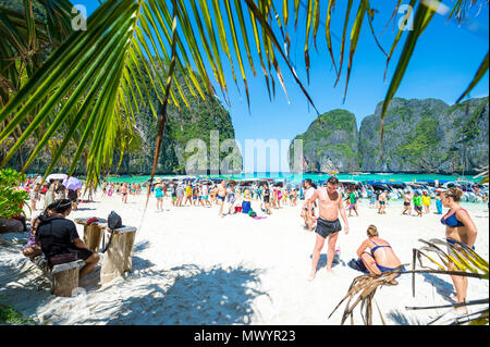 MAYA BAY, Tailandia - 12 novembre 2014: folle di visitatori in un giorno di viaggio viaggio in barca per un'iconica spiaggia del sud della Thailandia che ha appena chiuso. Foto Stock