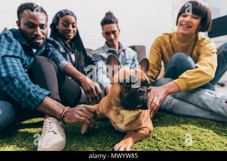 Closeup colpo di bulldog francese e il gruppo di amici multiculturale Foto Stock