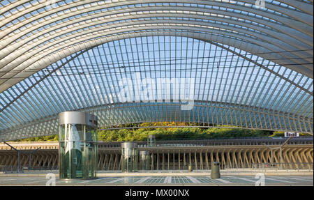 Liegi Guillemins stazioni ferroviarie tetto ad arco costruito in acciaio e vetro si estende su 160 m e ha un'altezza di 32 m. Le piastrelle di vetro delle piattaforme. Foto Stock