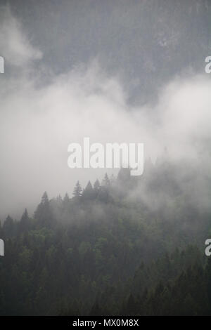 Nuvole di nebbia che salgono dal buio della foresta di montagna Foto Stock