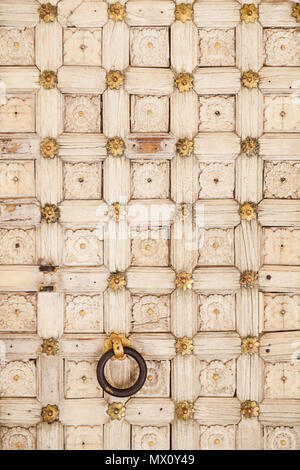 Io amo i modelli di ripetizione su questa vecchia porta di legno all'interno del Palazzo di Città, Udaipur. Foto Stock