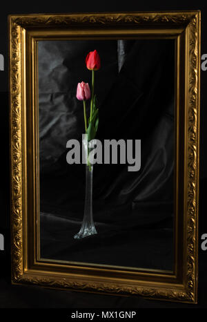 Abstract Magic. Tulip fiori in camera oscura riflettendo a specchio con baguette oro Foto Stock