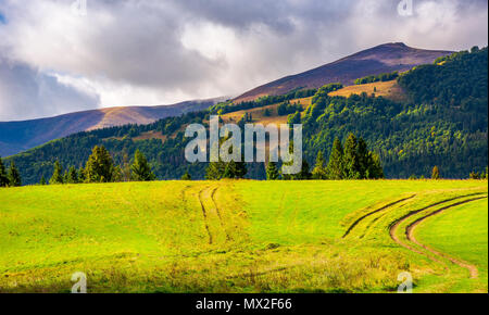 La strada attraverso il prato erboso su una collina boschiva incantevole natura paesaggio sotto il cielo nuvoloso Foto Stock