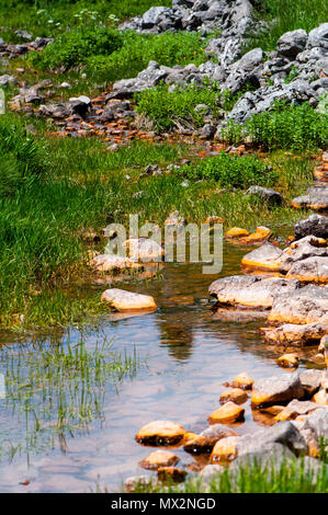 Ruscello che scorre su prato di montagna con grandi rocce. Orizzontale Foto Stock