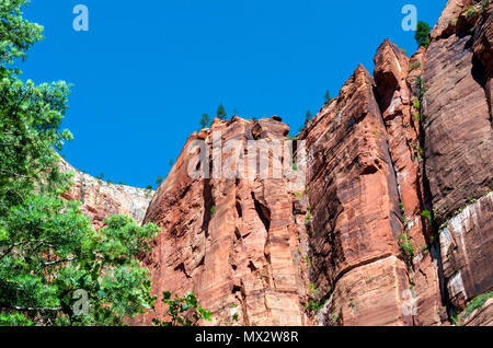 Alberi sul lato sinistro roccia ripida montagna sulla destra sotto un cielo blu chiaro. Ripide scogliere verticali di pietra arenaria rossa la parete del canyon. Foto Stock