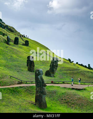 Incompiuta e abbandonata Moai teste, Rano Raraku cava, Isola di Pasqua, Rapa Nui, Cile Foto Stock