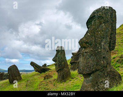 Close up incompiuta e abbandonata Moai teste, Rano Raraku cava, Isola di Pasqua, Rapa Nui, Cile Foto Stock