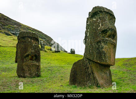 Incompiuta e abbandonata Moai teste, Rano Raraku cava, Isola di Pasqua, Rapa Nui, Cile Foto Stock