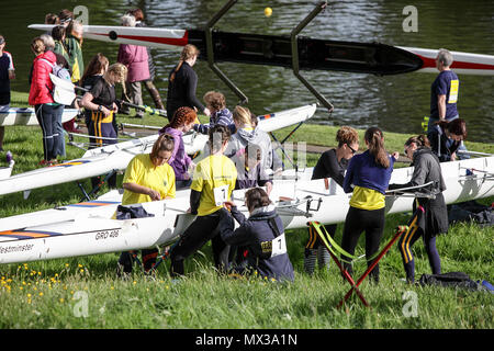 Una delle (25) immagini in questo set correlato alla regata di Shrewsbury 2018, una manifestazione che si svolge annualmente sul fiume Severn a Shrewsbury, Shropshire, Inghilterra. Foto Stock