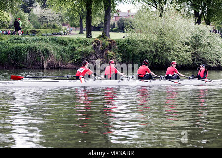 Una delle (25) immagini in questo set correlato alla regata di Shrewsbury 2018, una manifestazione che si svolge annualmente sul fiume Severn a Shrewsbury, Shropshire, Inghilterra. Foto Stock