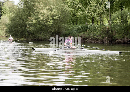 Una delle (25) immagini in questo set correlato alla regata di Shrewsbury 2018, una manifestazione che si svolge annualmente sul fiume Severn a Shrewsbury, Shropshire, Inghilterra. Foto Stock