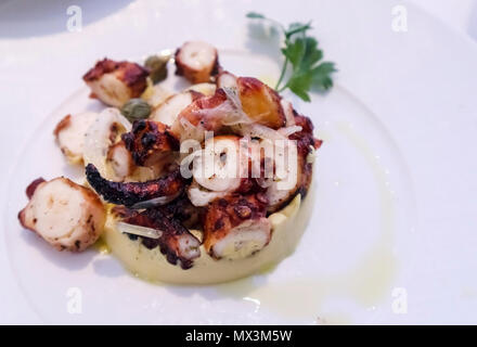 Antipasti raffinati: Un antipasto di prima portata, tentacoli di polpo alla griglia a fette serviti su un piatto bianco con uno sprig di prezzemolo Foto Stock