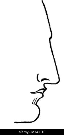 . Il naso dritto. Immagine da Warwick's Nasology, 1848 . Warwick 54 Aquain Nosen Foto Stock