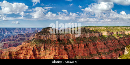 Vista panoramica del North Rim del Grand Canyon cercando attraverso il canyon di un alto altopiano di montagna sotto un luminoso cielo blu con soffici . Foto Stock