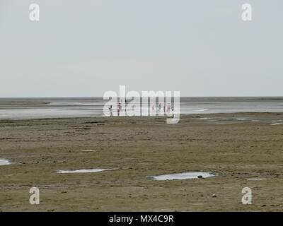 Famiglie e bambini, persone a giocare nella baia con la bassa marea, con un deserto-come aspetto, Baia di Somme, Le Crotoy, Francia Foto Stock