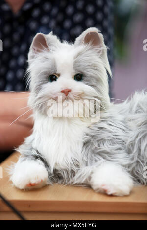 Un robot cat raffigurato in una casa di cura a Bognor Regis, West Sussex, Regno Unito. Foto Stock