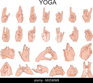 Illustrazione delle varie posizioni delle mani di yoga, nella meditazione, il saggio Illustrazione Vettoriale