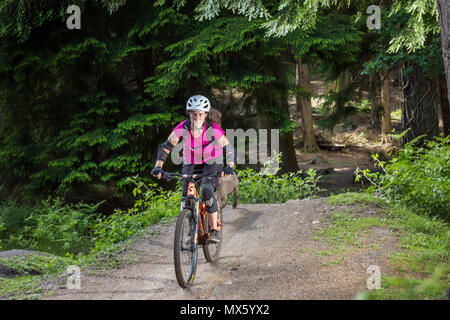Bici e mountain bike Foresta di Dean, nel Gloucestershire. Foto Stock