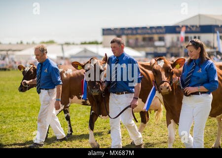 Shepton Mallet, Regno Unito, 2° giugno 2018. Gli agricoltori al Grand Parade presso la 155Bagno e West Show 2018, James Thomas/Alamy Live News Foto Stock