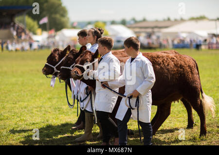 Shepton Mallet, Regno Unito, 2° giugno 2018. Grand Parade presso la 155Bagno e West Show 2018, James Thomas/Alamy Live News Foto Stock