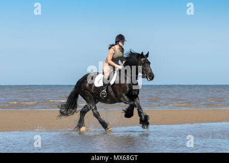 Ainsdale Beach, Southport, Merseyside. Il 3 giugno 2018. Regno Unito Meteo. Bellissimo cielo azzurro e sole splendente sono condizioni perfette per una corsa come Louise Twist [mr] galoppa sul suo figlio di 9 anni cavallo "alleato" attraverso la marea lungo il litorale di Southport beach nel Merseyside. Credito: Cernan Elias/Alamy Live News Foto Stock