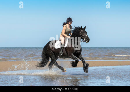 Ainsdale Beach, Southport, Merseyside. Il 3 giugno 2018. Regno Unito Meteo. Bellissimo cielo azzurro e sole splendente sono condizioni perfette per una corsa come Louise Twist [mr] galoppa sul suo figlio di 9 anni cavallo "alleato" attraverso la marea lungo il litorale di Southport beach nel Merseyside. Credito: Cernan Elias/Alamy Live News Foto Stock