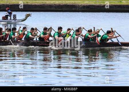 London Regatta Centre di Londra, Regno Unito. Il 3 giugno 2018. L annuale London Hong Kong Dragon Boat Festival avrà luogo a Londra il Regatta Centre in Docklands, in splendido sole. L'evento prevede le gare delle barche drago tutto il giorno, nonché gratuitamente un programma di eventi con spettacoli, musica, intrattenimento e bancarelle e opportunità di sperimentare la cultura cinese. Credito: Imageplotter News e sport/Alamy Live News Foto Stock