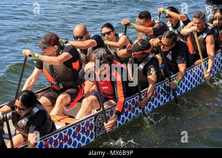 London Regatta Centre di Londra, Regno Unito. Il 3 giugno 2018. L annuale London Hong Kong Dragon Boat Festival avrà luogo a Londra il Regatta Centre in Docklands, in splendido sole. L'evento prevede le gare delle barche drago tutto il giorno, nonché gratuitamente un programma di eventi con spettacoli, musica, intrattenimento e bancarelle e opportunità di sperimentare la cultura cinese. Credito: Imageplotter News e sport/Alamy Live News Foto Stock