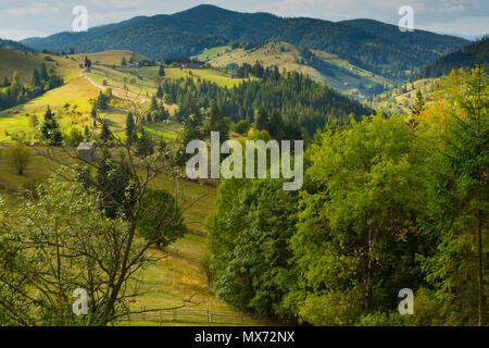 Illustrazione della Scenic Karpaty montagne di Bucovina in Romania. Foto Stock