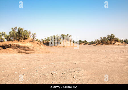 Il magnifico Dasht-e Lut deserti, famosa per le sue formazioni rocciose chiamato Kaluts o Kalouts vicino alla città di Kerman in Iran Foto Stock