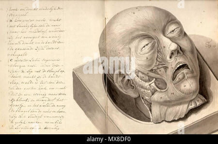 . Inglese: anonimo. [Tise sulla fisionomia. (Paesi Bassi?, ca. 1790)]. La fisiognomica è la scienza della relativa di un singolo carattere, la personalità e il temperamento per la forma del suo viso, testa, e/o corpo. Le teorie dietro di essa torna a Ippocrate, che credevano che le caratteristiche fisiche del corpo umano ha rivelato le caratteristiche della personalità; Aristotele eseguiti studi su come capelli, arti e le caratteristiche facciali di personalità di predizione e di temperamento. Tali teorie fiorì durante tutto il Medioevo e il Rinascimento e la nota di Girolamo Cardano (1501-1576) è stato uno dei suoi principali propon Foto Stock