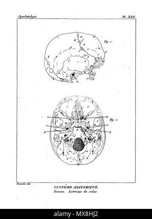 190 Encyclopédie méthodique - Systeme Anatomique, PL22 Foto Stock