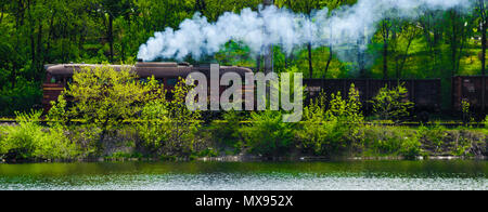 Un treno con una nuvola di fumo passeggiate attraverso una foresta verde con un laghetto. Foto Stock