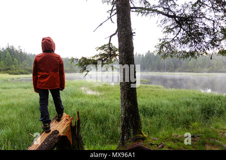 Giovane ragazzo in arancione Giacca pioggia in piedi su albero caduto stork a palude e guardando il lago in condizioni piovose Foto Stock