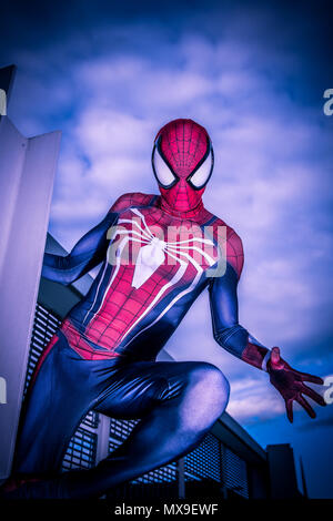 Spiderman cosplayer nella sua tuta di Spiderman. Foto Stock